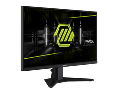 MSI MAG 255F E20 | 25" | 1080p | IPS Monitor