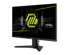 MSI MAG 255F E20 | 25" | 1080p | IPS Monitor